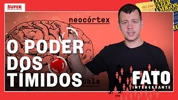 Por que os homens preferem as tímidas?