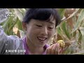 《远方的家》 20200414 大好河山 黄河北上入宁夏| CCTV中文国际