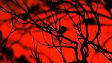 🌟 Roblox Free UI Executor BYFRON BYPASS Nezur Roblox ⧸ Hack Exploit Undetected 2024 🌟