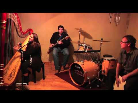 Kristen Smith Harpist -- "King of Anything" Austin...