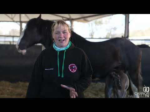 An official introduction to Ruby's foal - Cannon Hall Farm