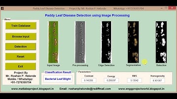 Paddy Leaf Disease Detection using image processing matlab project code