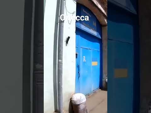 Кто говорил Одесса русский город? #shorts #одесса #война #дубровакомарова