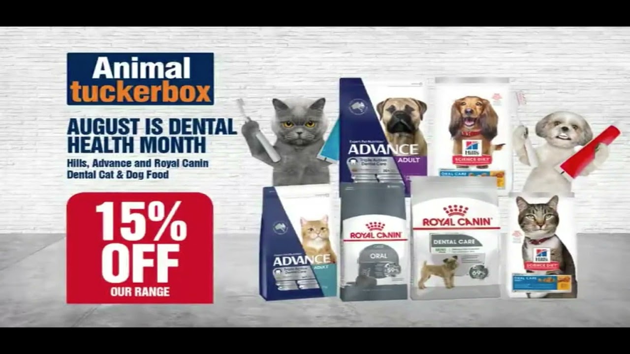 Animal Tuckerbox YouTube