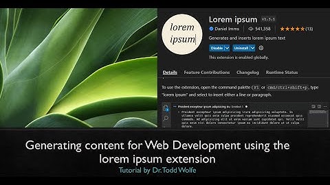 VsCode Tutorial: How to generate new website content with lorem ipsum