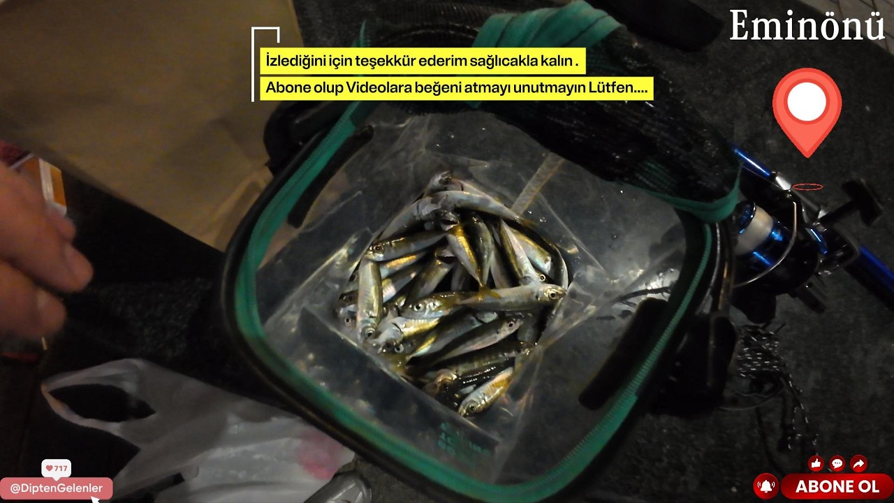 Eminönü istarvit balık avı Lrf ile  bilmem  kac  12345  ???  #atçekbalıkavı #fishing #fish #keşfet