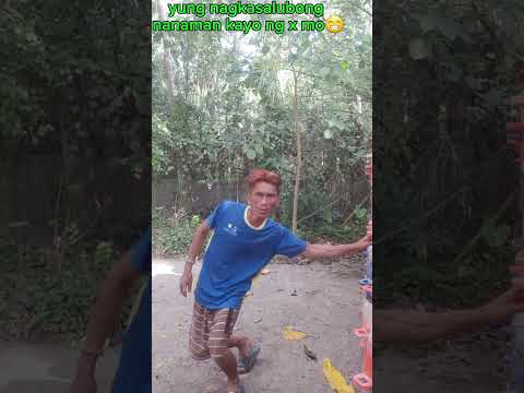 إنها جميلة حقا فيديو قصير إعجاب مشاركة اشتراك