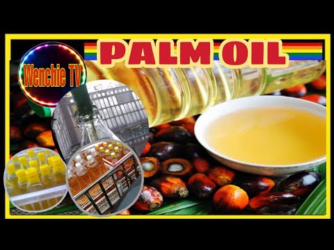 PATOK NA NEGOSYO NGAYUNG 2021 | WALANG LUGI | SIPAG AT TYAGA LANG | WENCHIE PALM OIL TRADING |