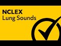 Lung Sounds | NCLEX Review
