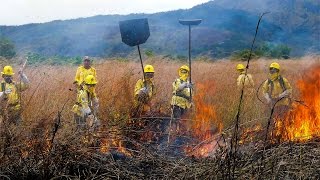 Curso Formacao e Treinamento de Brigada de Incendio Florestal Rescaldo Cursos CP