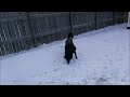Don't Eat Yellow Snow And Flying Ladders
