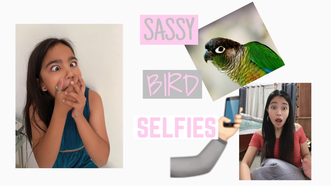 Sassy bird selfies | All about our bird pet snap shots