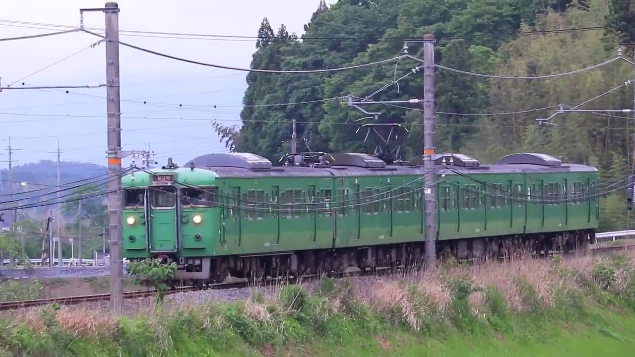【完全フリー素材】113系C10編成 普通 貴生川→三雲 2020