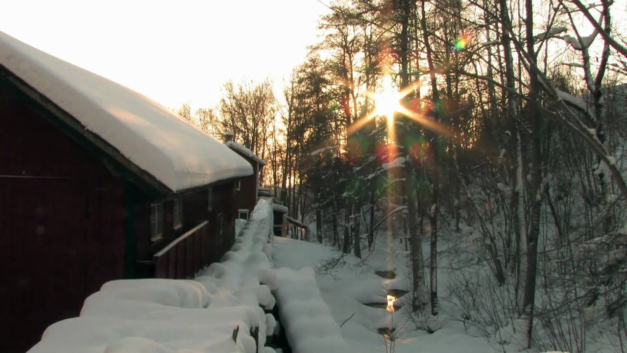 Vintervila för Svintuna Kvarn