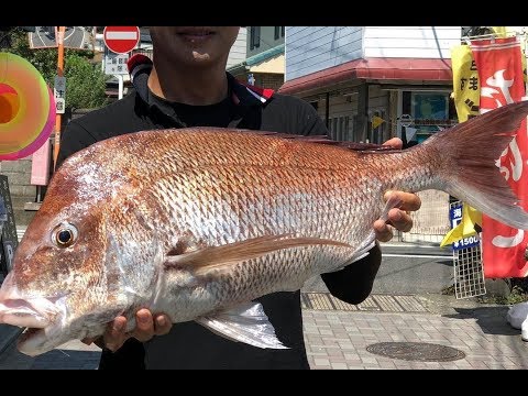 085 【ついに大ダイ!!マダイ77cm、5.4kg】手漕ぎボート釣り＠葉山20180715