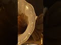 DUSTY ANTIQUE GRAMOPHONE HORN #shorts #shorts