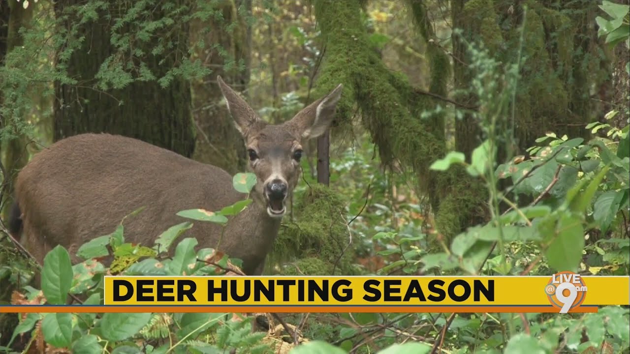 2024 Deer Hunting Season in Mississippi YouTube