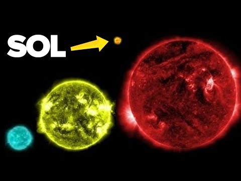 Vídeo: O Sol é uma estrela ou planta?