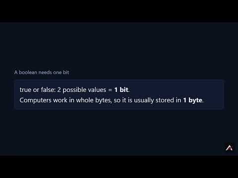 Spiralum™ Data basics 0.8: How numbers and yes or no are stored