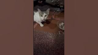 #music #unstoppable #challenge