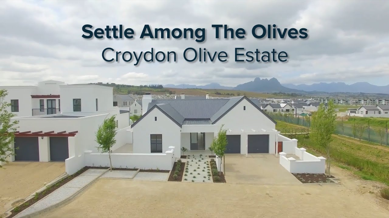 Croydon Olive Estate Video Marketing YouTube