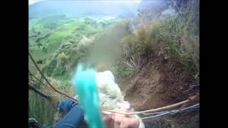 Kurtarıldığına Pişman Olan Koyun