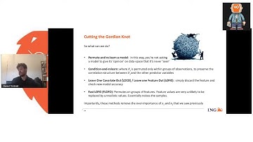 Perturbation Dangers in Explainability Models - Daniel Timbrell