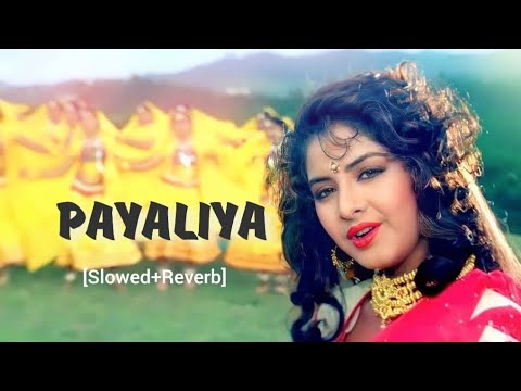 Payaliya Ho Ho Slowed  Reverb  Deewana 1992  Alka Yagnik Kumar Sanu