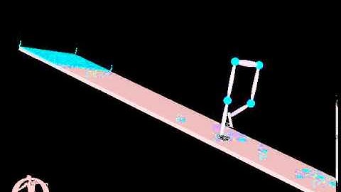 Passive Dynamic Walker