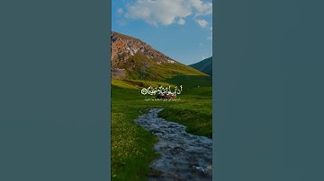 تلاوة رائعة للقارئ طارق محمد | ويريد الله ان يتوب عليكم | سورة النساء