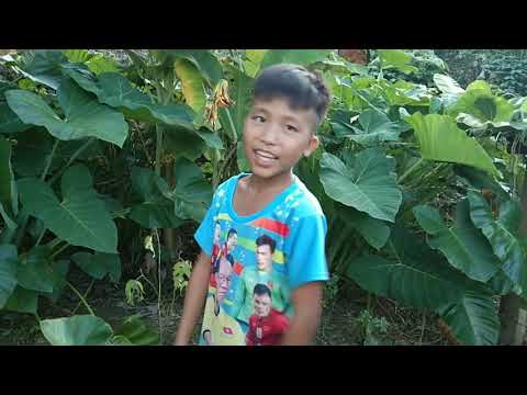 Video: Npaj Nto Thaum Plastering Phab Ntsa