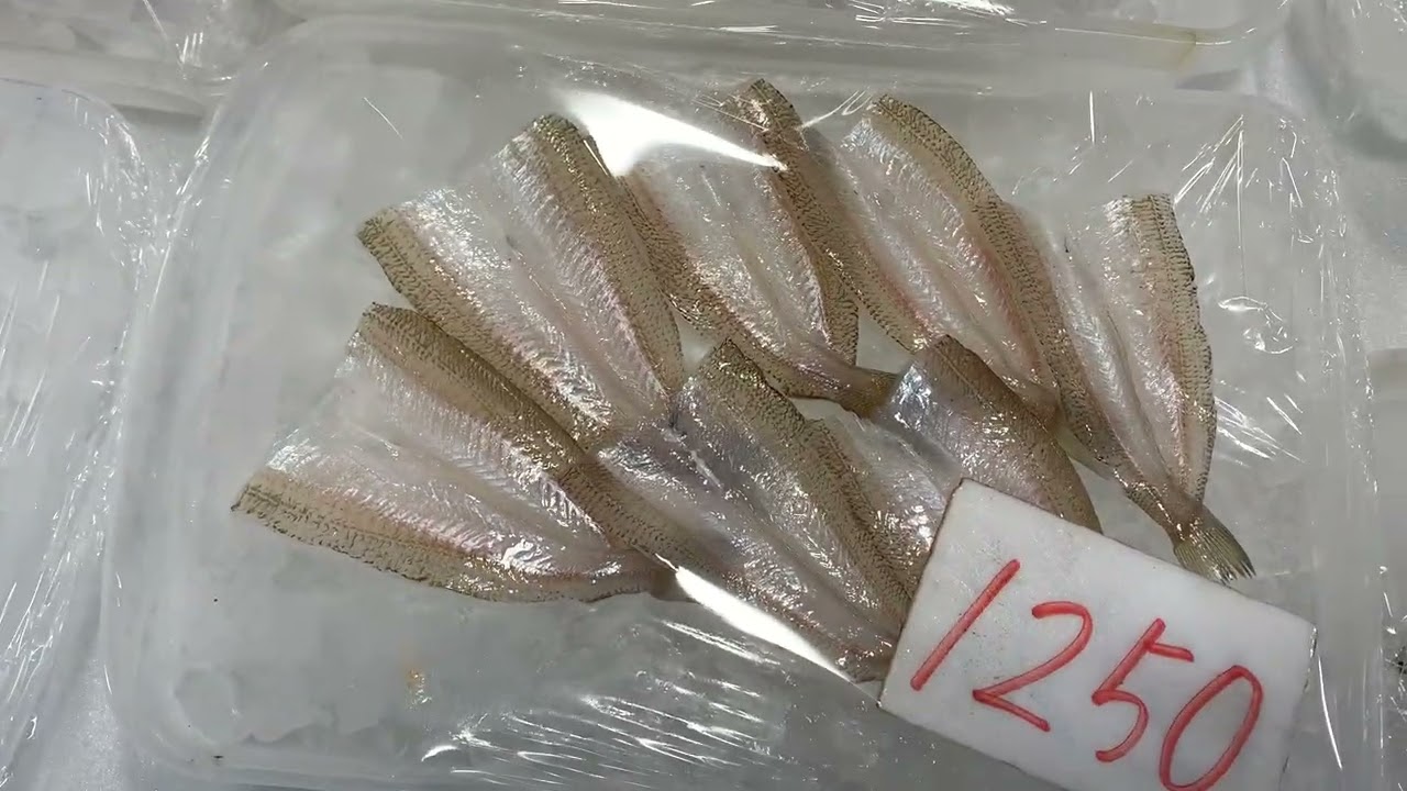 道の駅笠岡ベイファーム鮮魚コーナー3/5