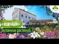 Питомник растений и саженцев Южный в Московской области | Растения для озеленения