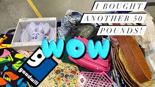 Finding Profit at the Goodwill Bins! Turning $60 into $1,000! I bought 50 pounds for Resale!