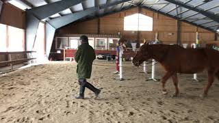 IMG 8655 Birger 2451/01/20E and Mumin L3220H Equagility Red
