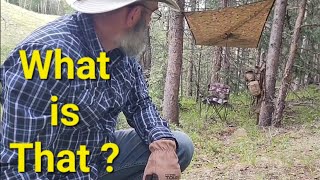 Adventure Hike, Thunder, Bugs, Coffee, Shelter, Fire, Gear and Knives!