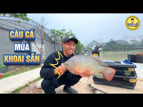 Câu Cá Mùa Khoai Sắn: Đêm Lạnh Ngày Nắng?