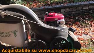 Aspirafoglie Billy Goat MV 650 SP HDS IN AZIONE
