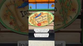 Best Pumpkin Patch In Orange County