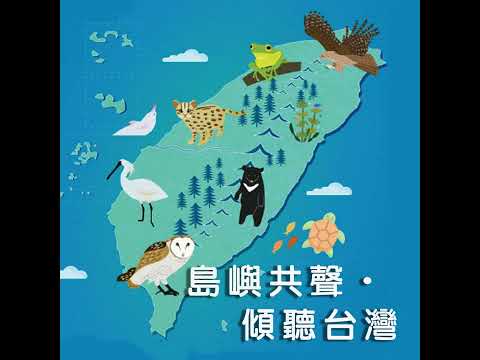 跟著柯金源導演「上蚵棚」,直擊七股潟湖的滄海桑田與人海共生