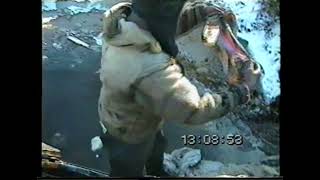 видео: Достаём утонувший вездеход ГТТ. ХМАО, Талинка.Часть2/We take out the drowned GTT all-terrain vehicle картинка: Достаём утонувший вездеход ГТТ. ХМАО, Талинка.Часть2/We take out the drowned GTT all-terrain vehicle