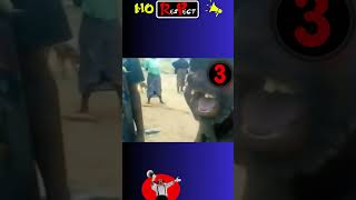 funny video 2023 ?viral shorts ?مقاطع فيديو مضحكة funny shorts