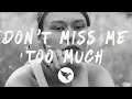 thuy - don&#39;t miss me too much (Lyrics)