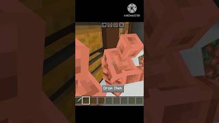 minecraft Copper Golem sorting system bedrock #copper Golem #shortvideo #minecraft