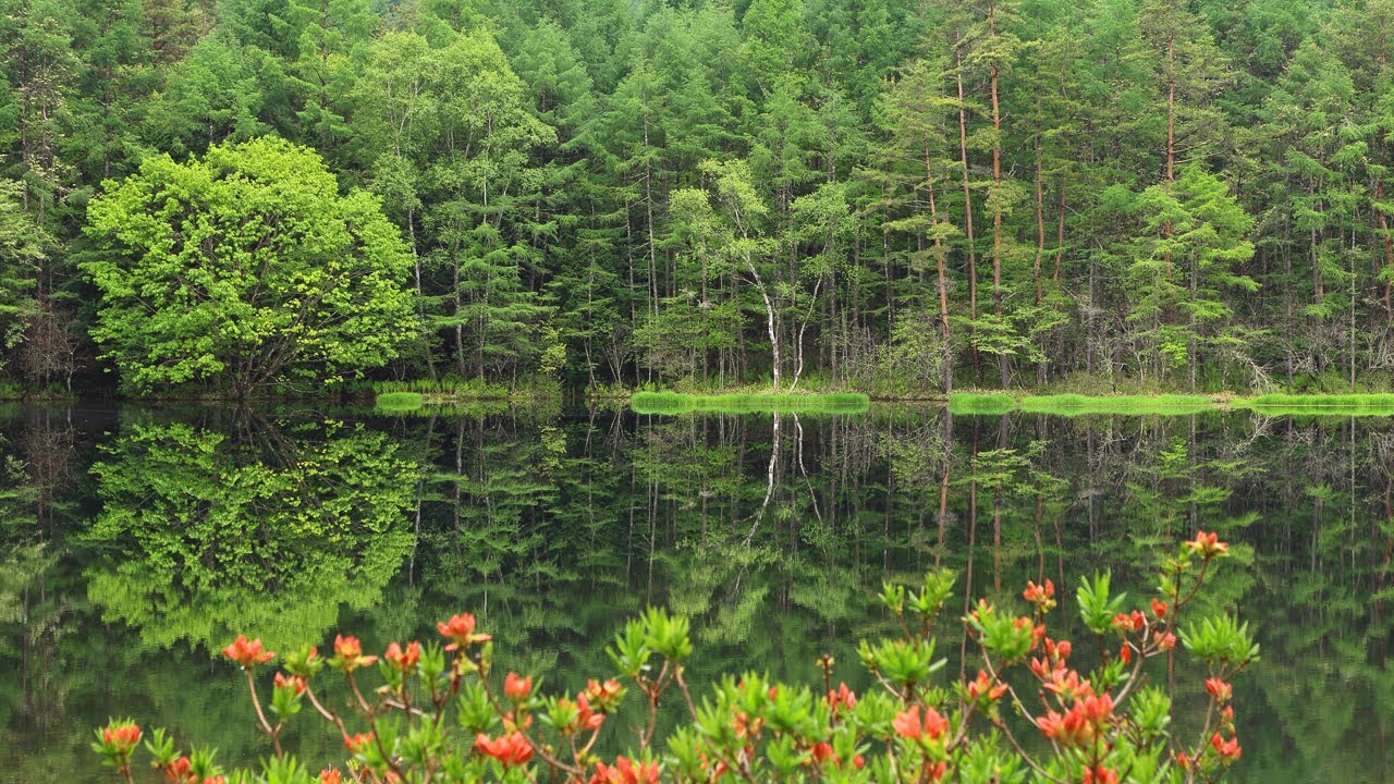 探訪・長野県茅野市 御射鹿池 名画の舞台は農業ため池 - YouTube