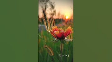 الشيخ عبد الفتاح الطاروطي-- نوادر روعه اجمل ما قراء ممتاز جدا نادر #تلاوات