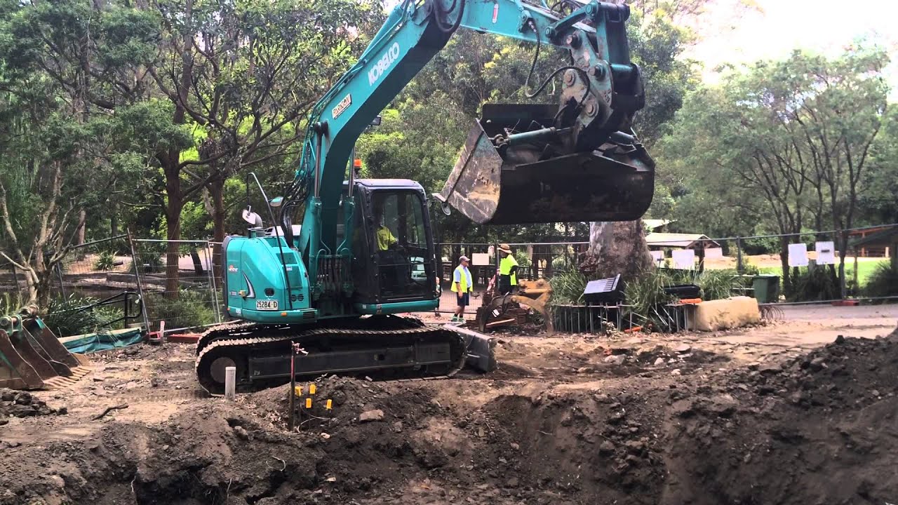 Uncovered mine shaft at Newcastle's Blackbutt Reserve