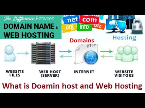 1- What is Domain & Hosting and Their Types? Who is Best Provider ...