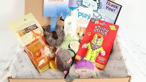 KitNipBox March 2016 Review/Unboxing + Coupon #KITNIPBOX