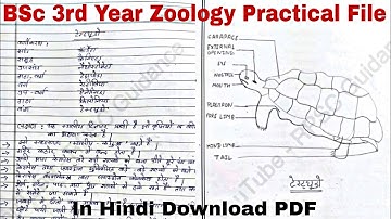 #Bsc 3Rd year zoology practical file PDF